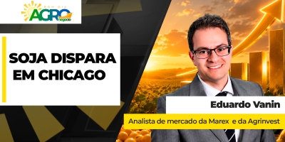 Soja dispara em Chicago com intensificação das guerras e atenção à demanda da China nos EUA