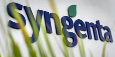 Syngenta abre oportunidades de Jovem Aprendiz com inscrições até 20 de novembro