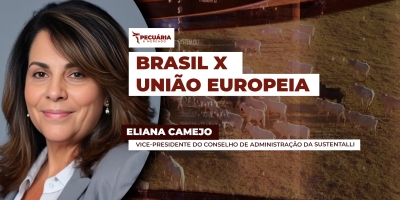 Decisão de tirar o Brasil da lista de fornecedores de carnes para UE mostra bloco mais exigente e rigoroso