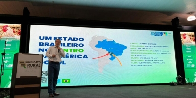 Estado aposta em incentivos e sanidade para ampliar competitividade da avicultura em MS