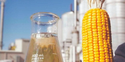 Mato Grosso lidera produção de etanol de milho no Brasil