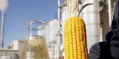 Bioenergia e etanol de milho: uma nova fronteira estratégica para o agronegócio brasileiro