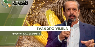 Segunda safra de milho em Jataí / GO passa por período período de falta de chuvas