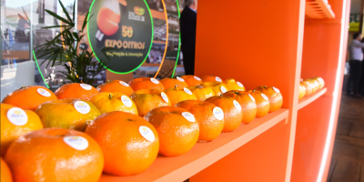 Abertura oficial da 51ª Expocitros e 47ª Semana da Citricultura começa mais cedo em 2026 com a presença de autoridades e homenagens