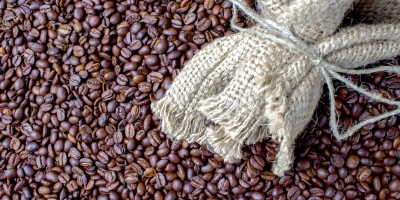 StoneX eleva previsão de safra de café do Brasil 26/27 para 77,2 mi sacas