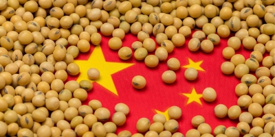 China favorecerá importações de soja do Brasil no 1º semestre