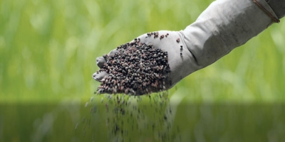 Agricultores veem aumento no preço dos fertilizantes com guerra do Irã bloqueando exportações