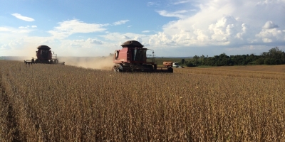 Arrendamento rural: como recuperar a terra quando o pagamento não vem?