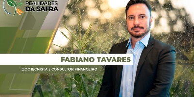 Sudoeste de Goiás deverá registrar redução na área de milho safrinha em função das chuvas comprometendo plantio