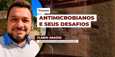 Porque o mundo está preocupado com o uso indiscriminado de antimicrobianos