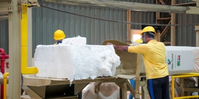 Em meio às tensões geopolíticas, Anea aponta que algodão brasileiro registra novo recorde de exportações em abril