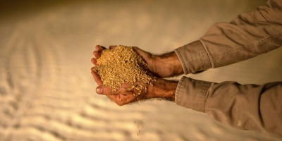 Segregar farelo de soja para atender norma ambiental da UE vai encarecer produto, diz Abiove