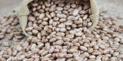 Feijão e legumes puxam alta de alimentos essenciais em junho no Brasil, aponta estudo