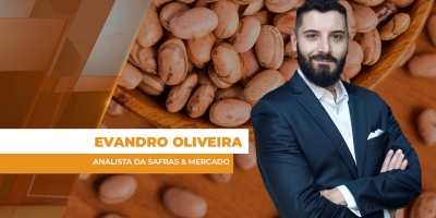 Colheita do feijão avança e preços ficam na dependência de aquecimento da demanda