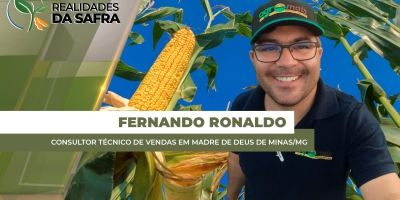 Em Madre de Deus de Minas/MG, falta de chuvas já castigam milho safrinha e feijão; previsão ainda não é favorável