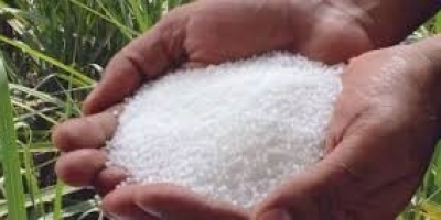 Mercado de fertilizantes segue pressionado  em meio à escalada do conflito no Oriente Médio