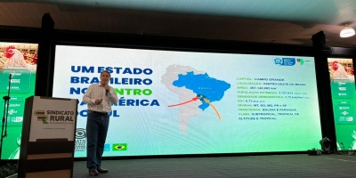 Avicultura de Mato Grosso do Sul amplia investimentos e reforça competitividade no setor