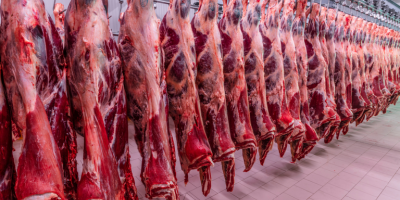 Frigoríficos entram em férias coletivas e pressionam mercado do boi gordo; oferta menor pode limitar queda da arroba