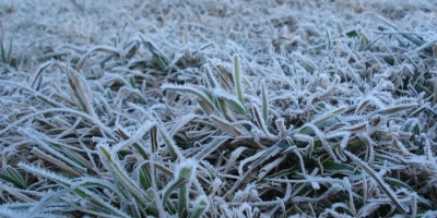 Frio intenso mantém temperaturas negativas no Sul e ainda favorece geadas nesta semana