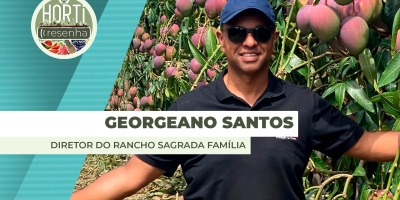 HORTI RESENHA #131 - Rancho Sagrada Família produz e exporta mangas no Vale do São Francisco