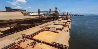 Exportação de soja do Brasil fechou 2025 em recorde de 108,68 mi t, aponta Cargonave