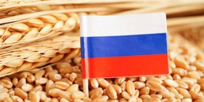 Exportações de trigo da Rússia devem cair em agosto ao nível mais baixo desde 2016/17
