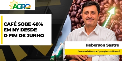 Café sobe 40% na Bolsa de Nova Iorque desde o fim de junho e cafeicultor mira preços de R$ 2100/saca