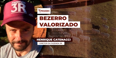 Mercado de bezerros segue disposto a pagar mais por animais de qualidade