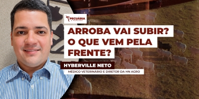 Boi gordo: disputa entre frigoríficos e pecuaristas mantém mercado em alerta
