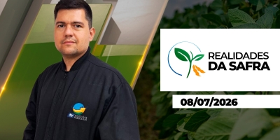 Colheita de milho começa a ganhar ritmo em alguns estados, mas produtores de Goiás já contabilizam grandes perdas