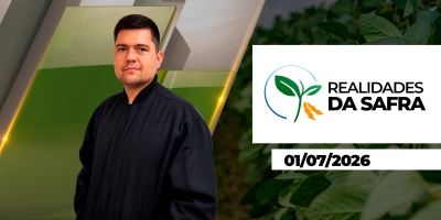 Colheita do milho passa dos 40% em Rondônia, mas chuva ainda limita avanço em Marechal Cândido Rondon/PR