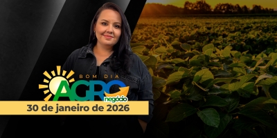 Fertilizantes 10% mais caros, soja pressionada, ovos nas mínimas de seis anos e shutdown adiado nos EUA
