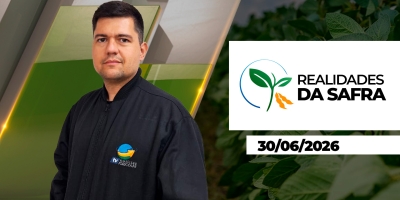 Colheita do milho ainda não começou no Norte do Paraná, mas plantio de inverno está praticamente encerrado em Santo Ângelo/RS