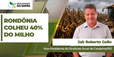 Rondônia já colheu 40% da safrinha de milho com produtividades dentro da normalidade