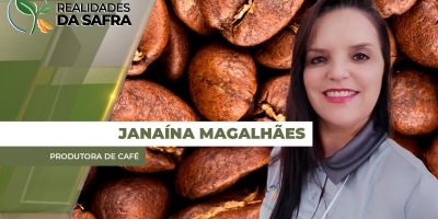 Clima afetou o desenvolvimento dos grãos de café em Lambari/MG