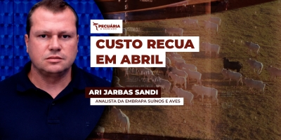Levantamento da Embrapa aponta para redução de custos para suínos e frango