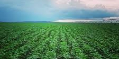 Plano Safra 2026/27: governo cria grupo de trabalho para avaliar impactos do El Niño na agropecuária