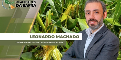 Milho safrinha: a safra é menor do que o mercado imagina?