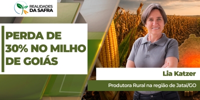 Sudoeste goiano terá perdas de, no mínimo, 30% na produtividade do milho