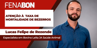 Taxas de mortalidade dos bezerros acima de 5% na pecuária de leite precisam ser investigadas