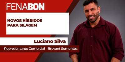 Demanda do produtor muda perfil genético dos híbridos de milho para silagem na pecuária