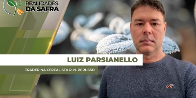 Lavouras de feijão e milho registram geadas em Pato Branco/PR