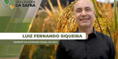 Com previsão de produtividade mais modesta que safra anterior, RS dá início à colheita do arroz