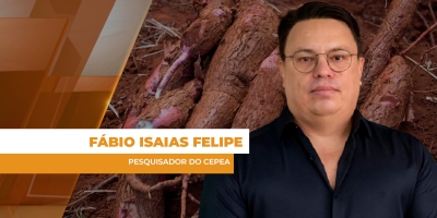 Cenário de comercialização da mandioca se inverte e oferta restrita estimula preços