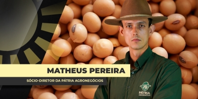 Semana foi de negócios no mercado brasileiro de soja, com necessidades e contas do produtor batendo à porta