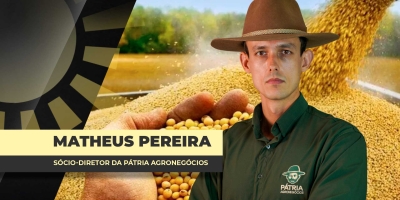 Prêmios da soja no Brasil tem sido o fiel da balança na formação dos preços no mercado interno