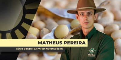 Negócios com a soja 2026/27 se intensificam no Brasil, apesar de margens projetadas serem as menores da história
