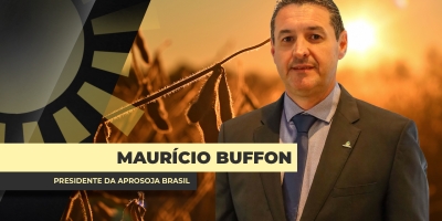 Em meio a chuvas intensas tirando qualidade da soja em partes do BR, debate sobre classificação dos grãos se reaquece