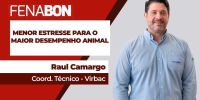 Do nascimento ao confinamento o estresse animal é fator importante de redução de desempenho