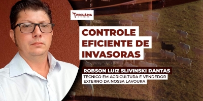 Controle de plantas invasoras ainda é um desafio nas pastagens interferindo na rentabilidade da pecuária